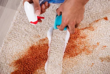 Teppichreinigung in Zug